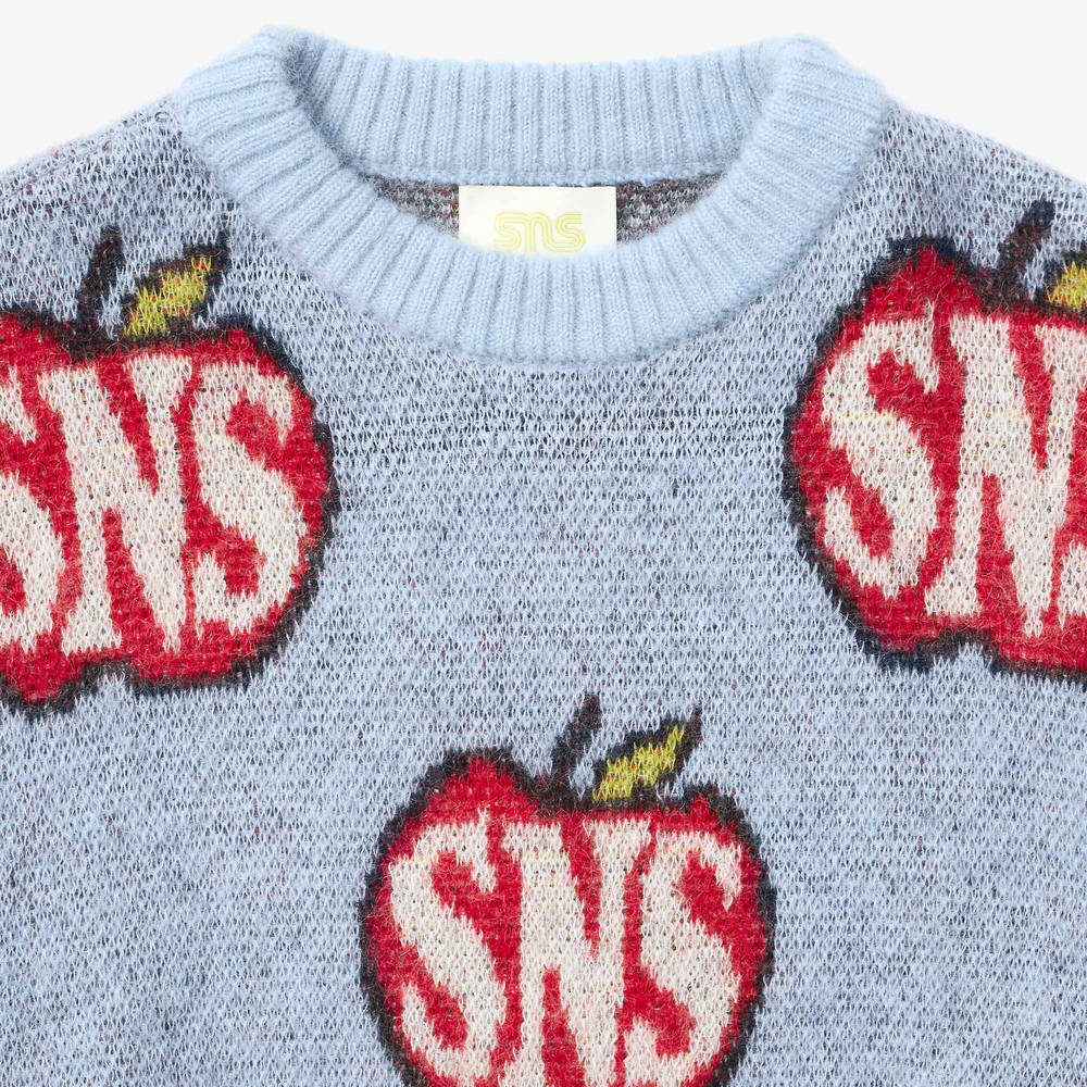 SNS Seasonals Knitted Crewneck Blue Red Sns-1145-5700 neck