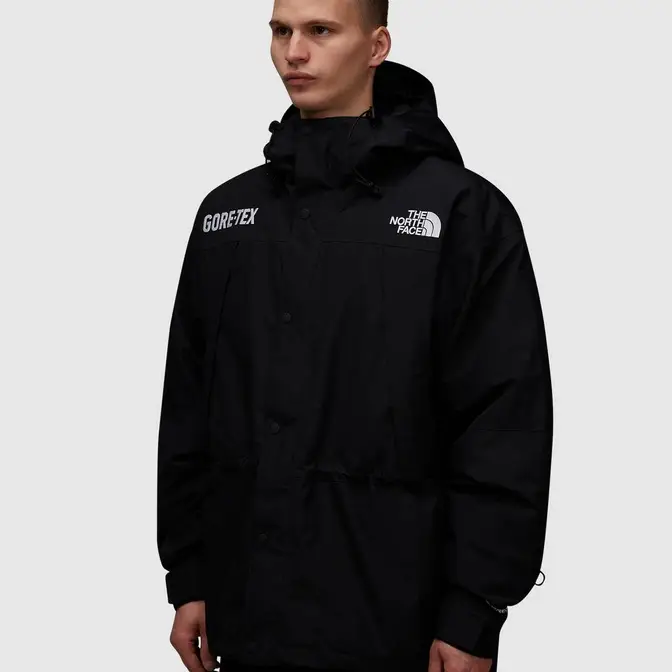 The North Face Gore-Tex Mountain Jacket | Where To Buy | 4089908 | The ...