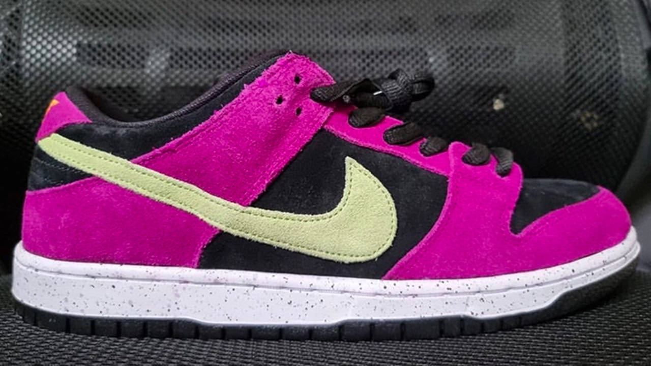 Another ACG-Inspired Nike SB Dunk Low Is in the Works