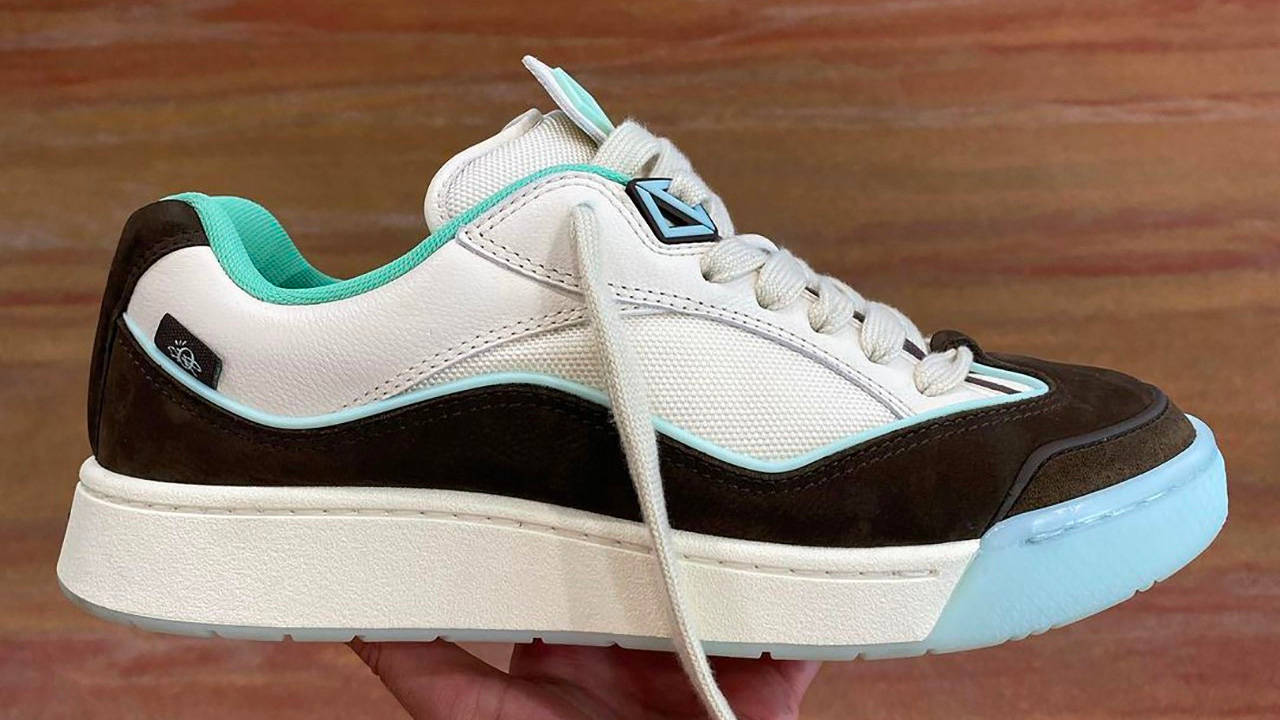 Cactus Jack x Dior