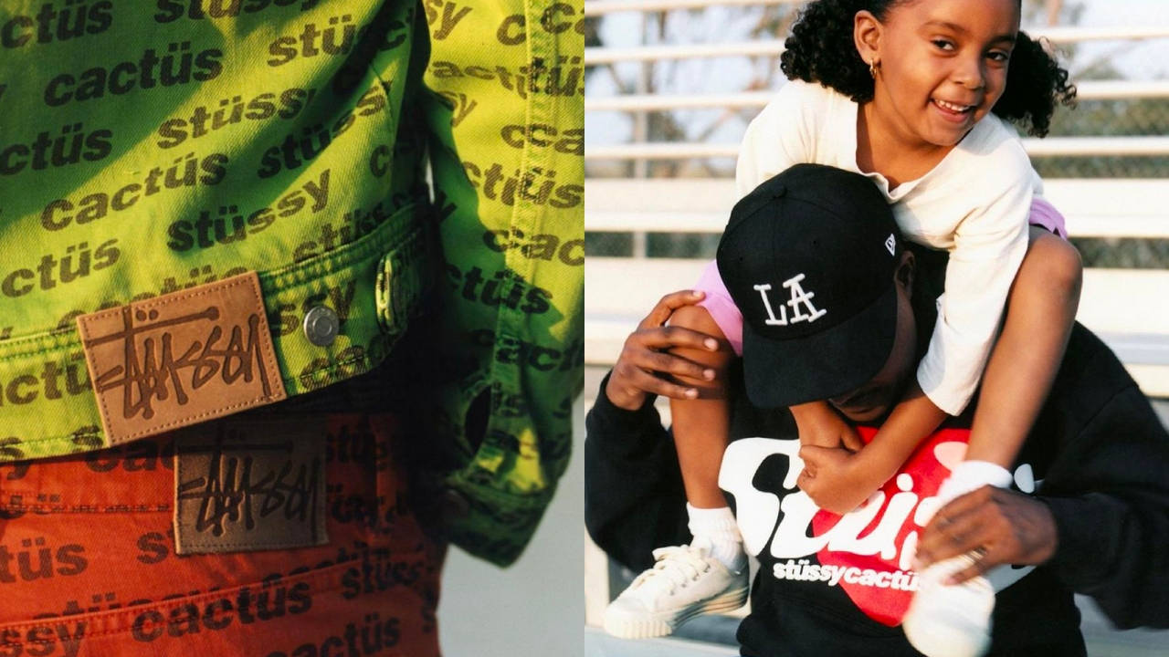 stussy x cactus