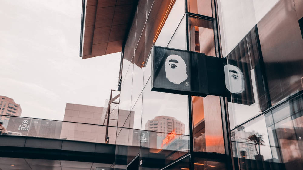 Image via 偉宗 勞 CVC Capital Bags Co-ownership of A Bathing Ape