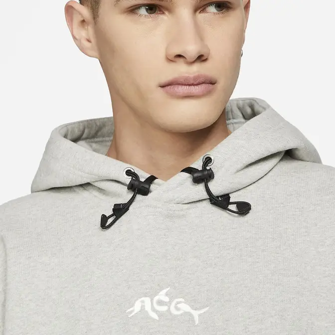 acg dolphin hoodie