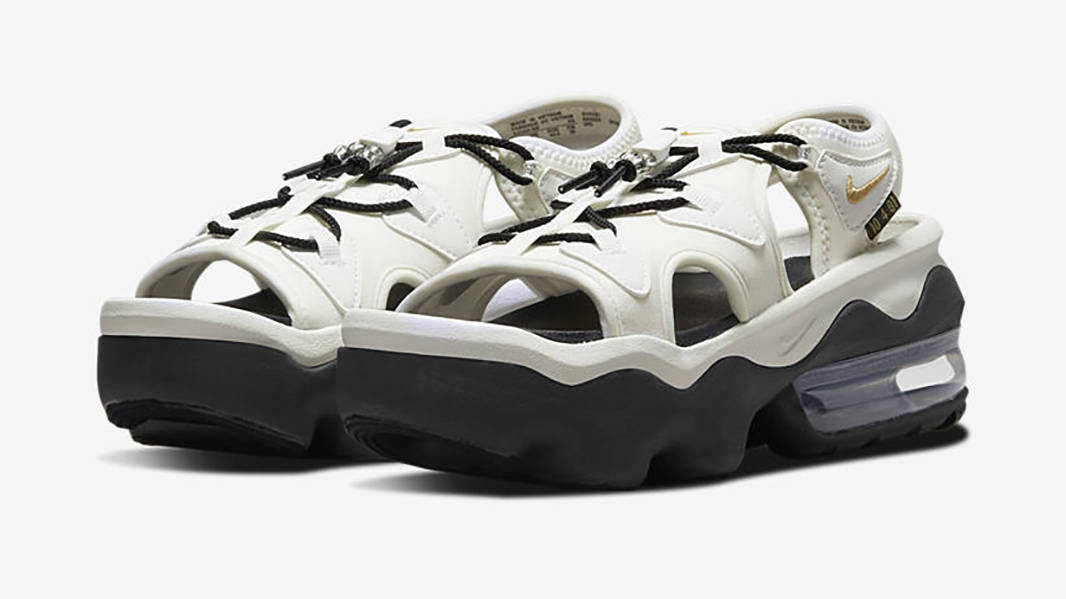 seahawk colored jordans