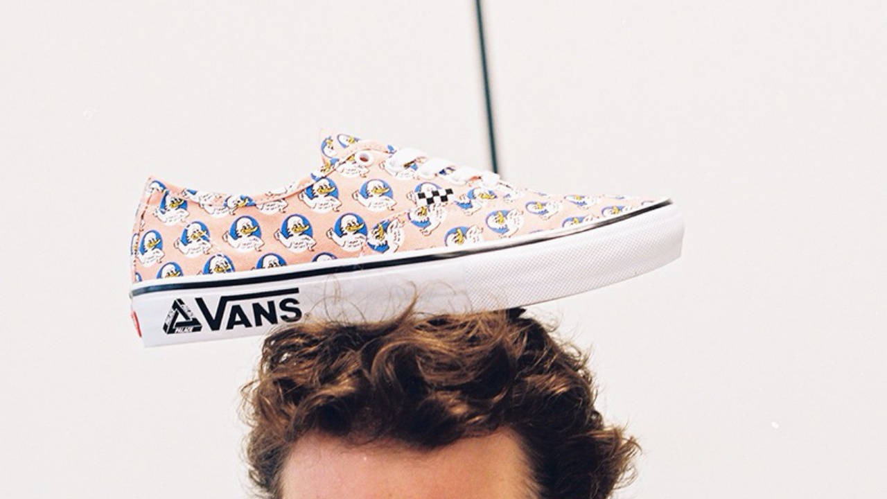 palace x vans 4