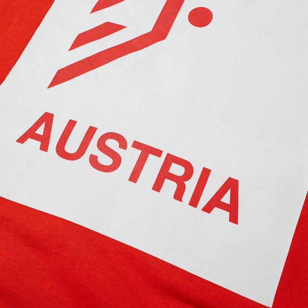 The North Face International Popover Austria Graphic Hoodie Red Detail 2