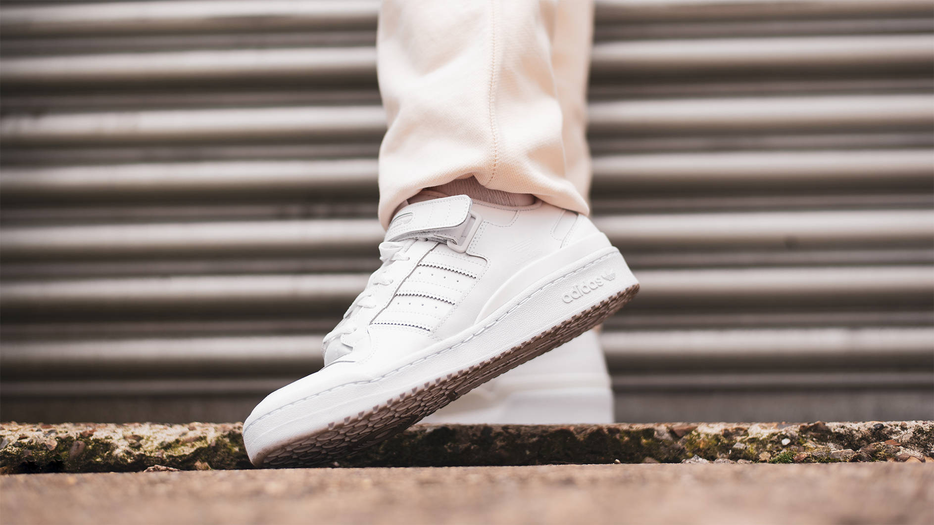 adidas forum low all white