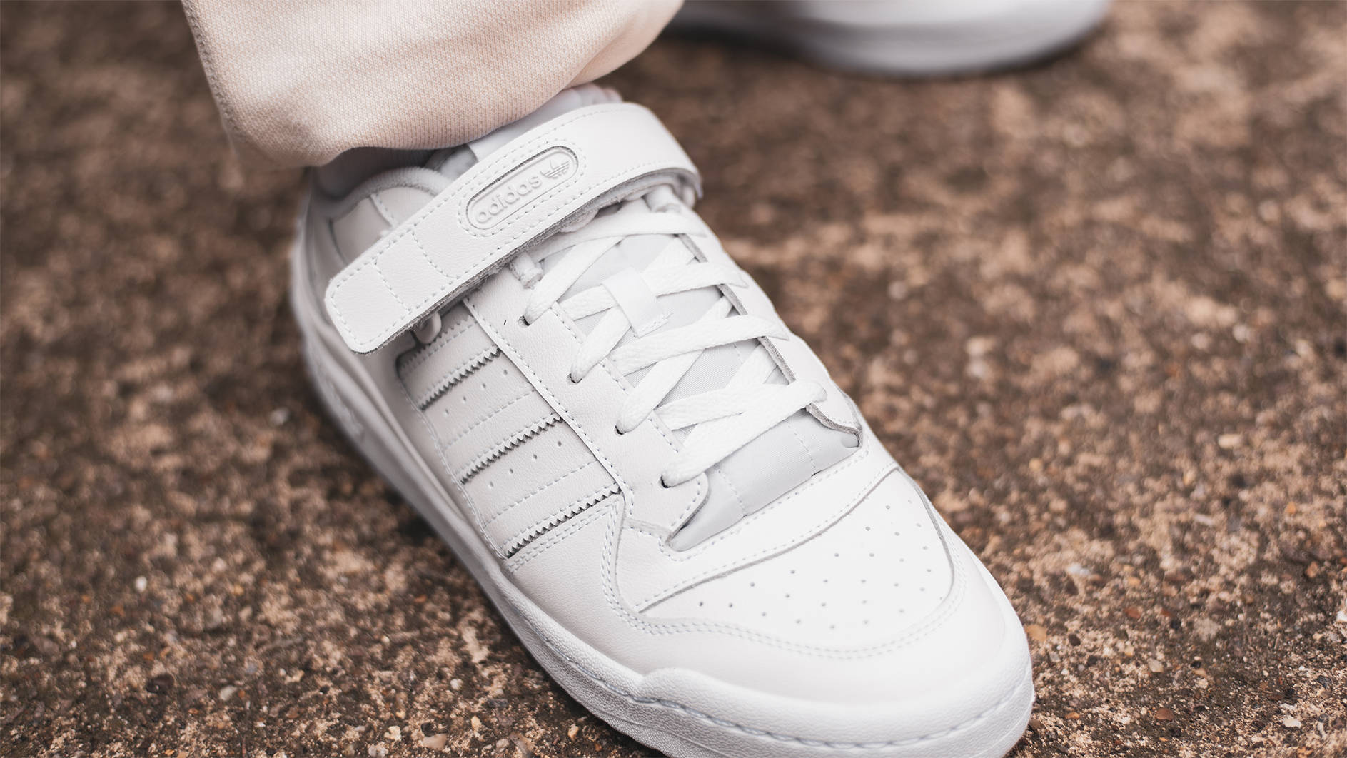 adidas Forum Low Cloud White