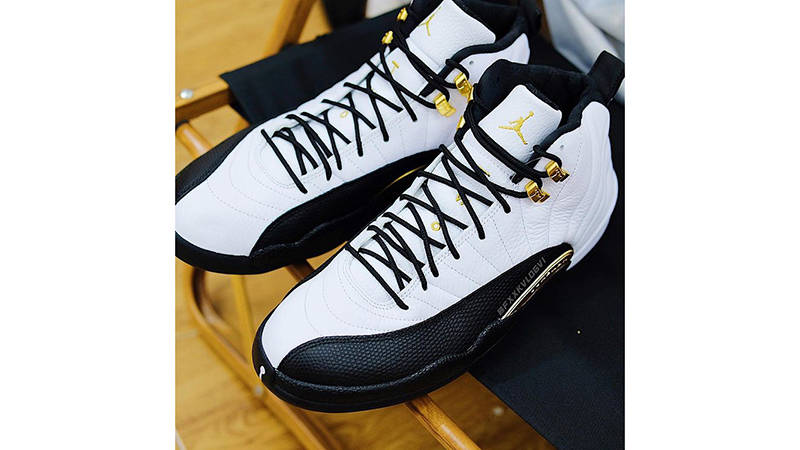 Air Jordan 12 Royalty CT8013-170 Top