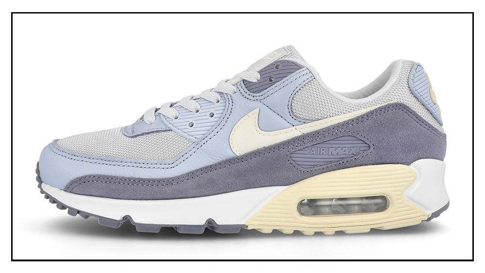 Nike Air Max 90 Premium Ashen Slate DM2829-001