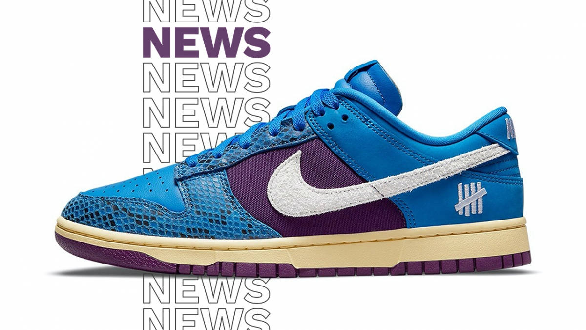dunk low se meaning