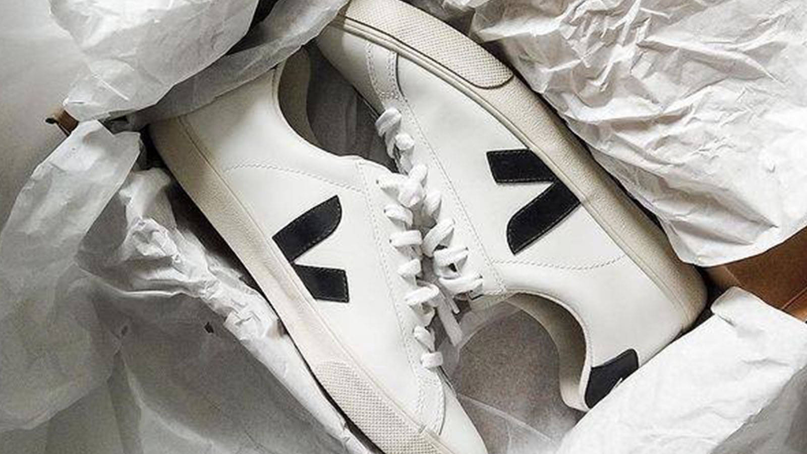 VEJA Sneaker Size Guide: Do They Run True to Size? | The Sole Supplier