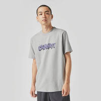 Carhartt WIP Shattered Script T-Shirt Grey