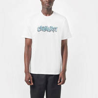 Carhartt WIP Shattered Script T-Shirt White Front