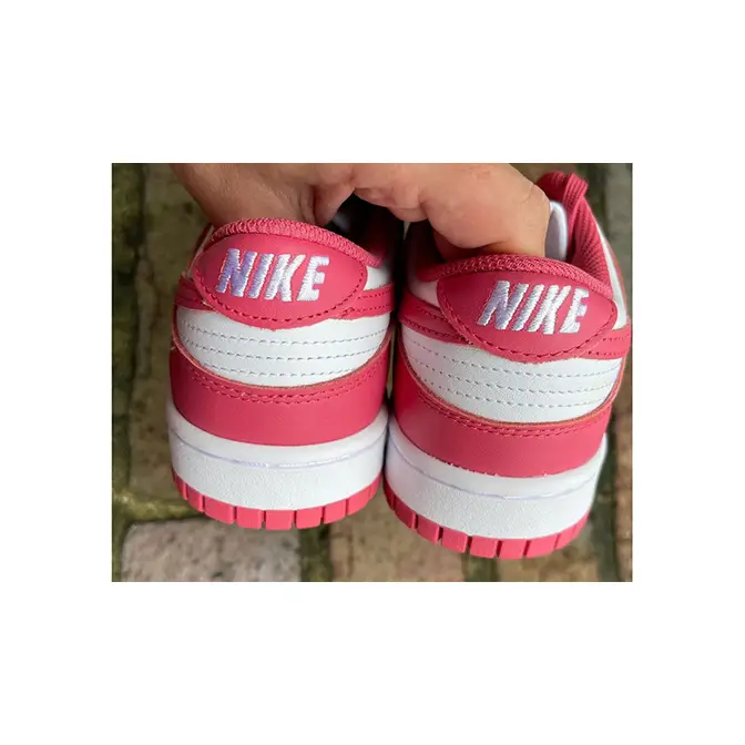 dunk low arctic punch