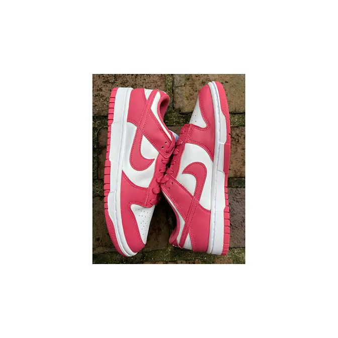 dunk low arctic punch