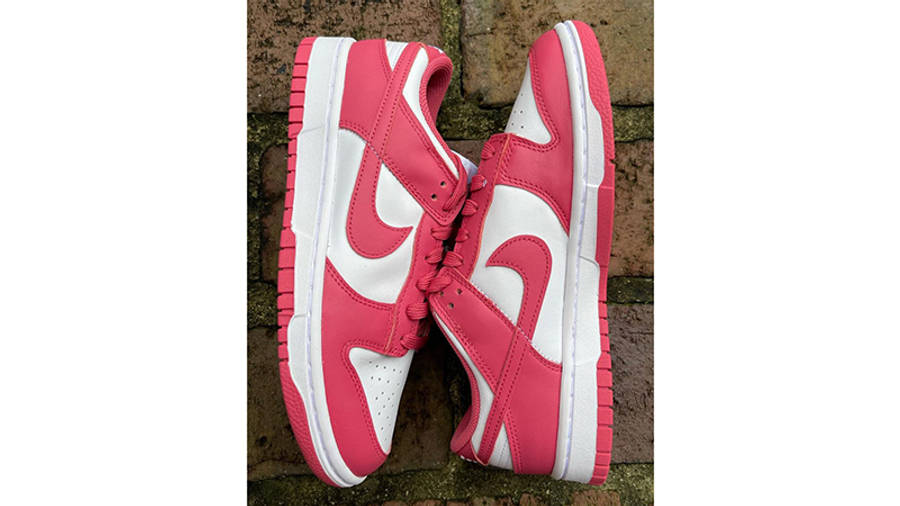 dunk low punch pink