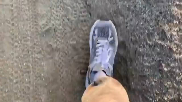 Salehe Bembury x New Balance