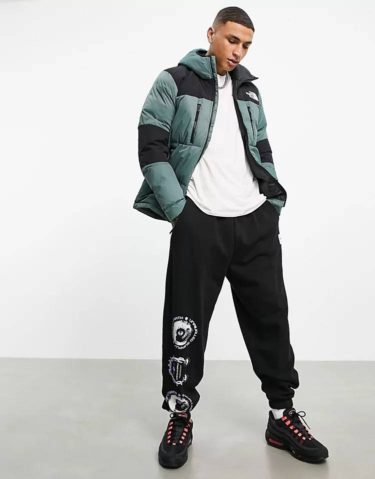 The North Face Himalayan Light Down Jacket Where To Buy