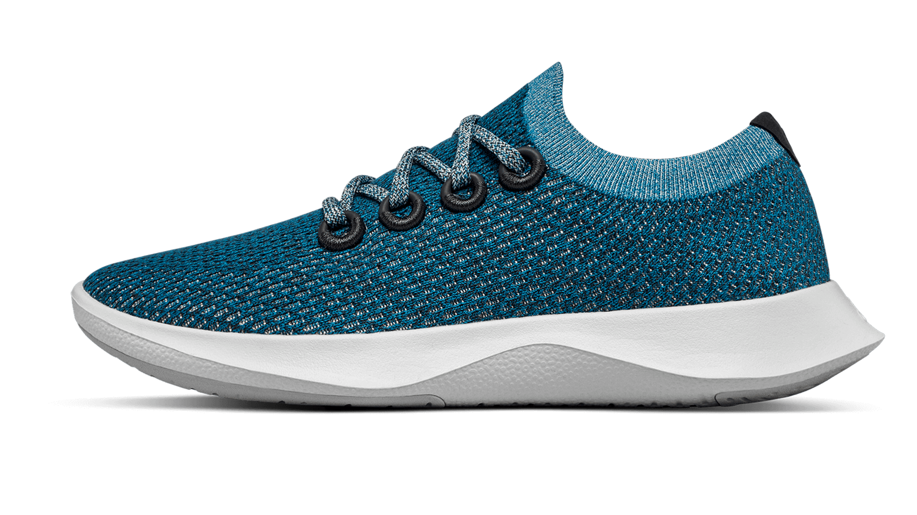 tree dasher blue