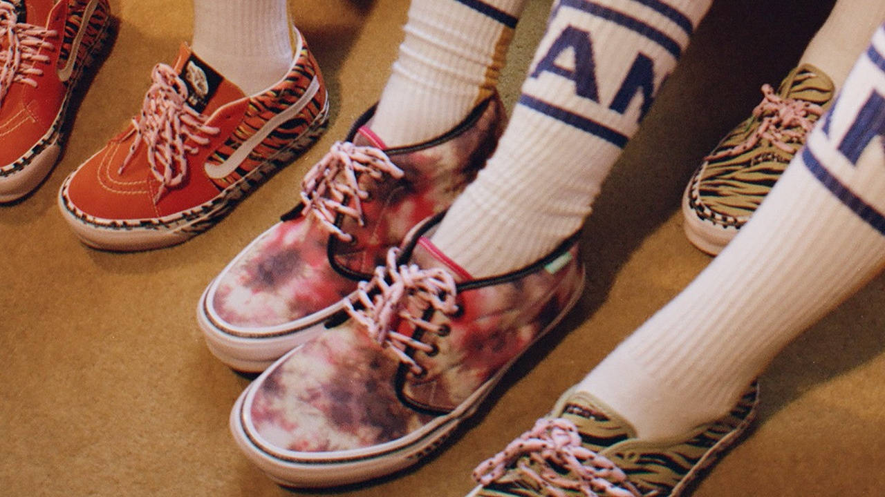 aries x vans 1