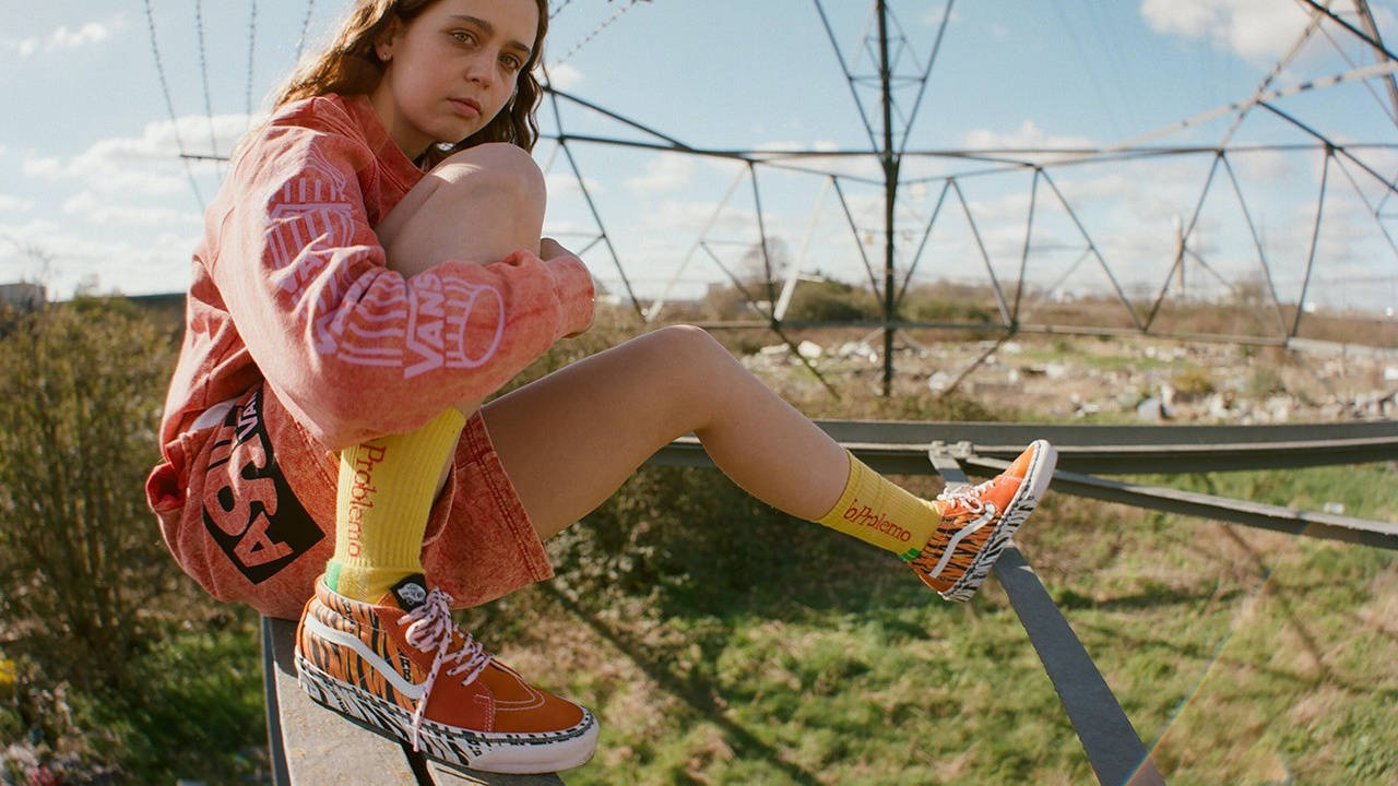 aries x vans 4