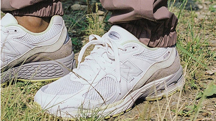 puma thundercats men