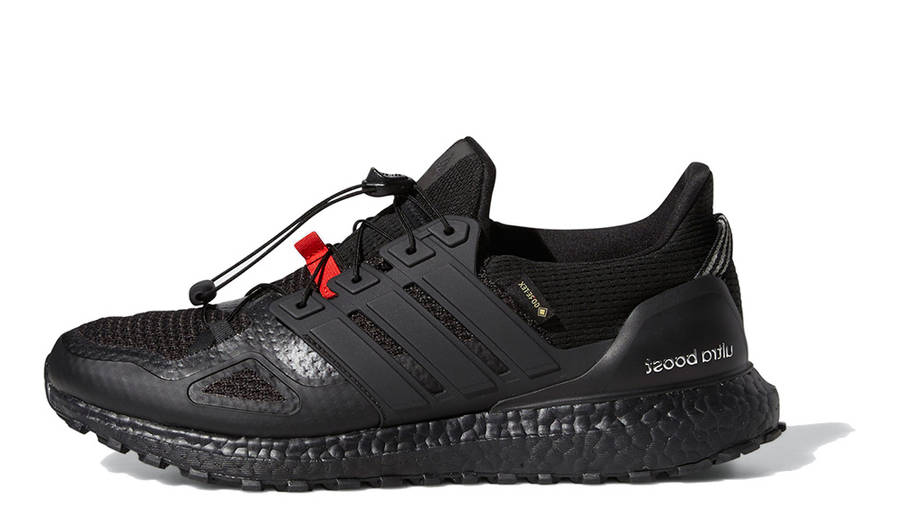 adidas boost gore tex