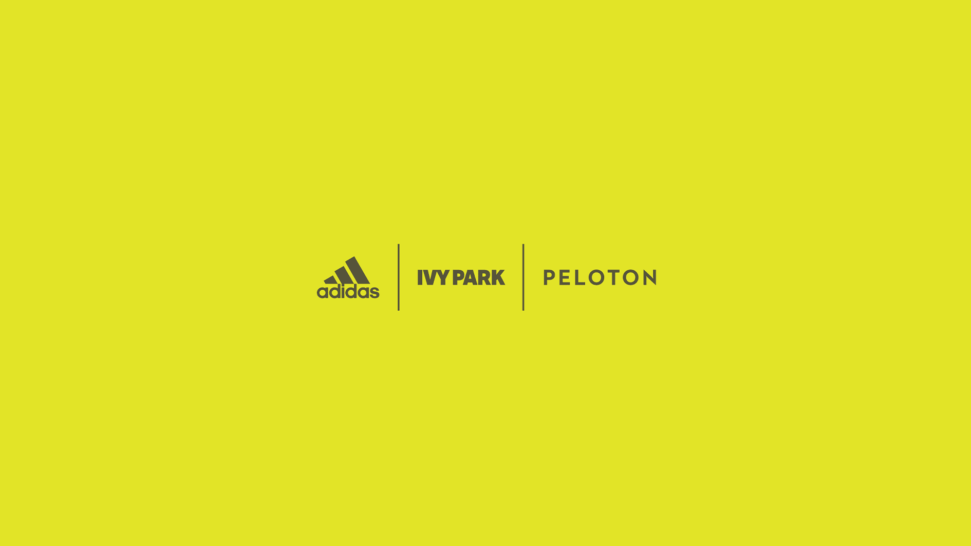 ivy park