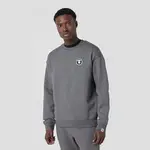 AAPE Sweatshirt Grey