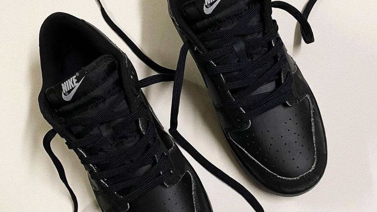 Arc'teryx x Nike Dunk Low