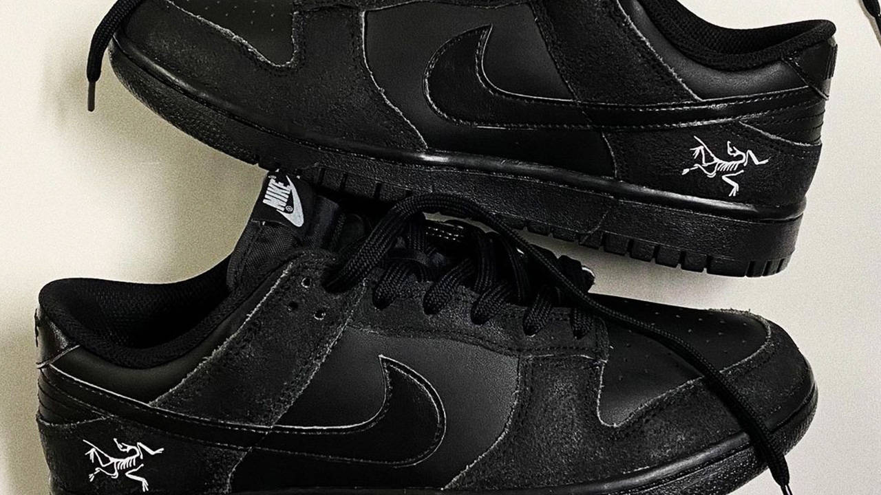 Arc'teryx x Nike Dunk Low