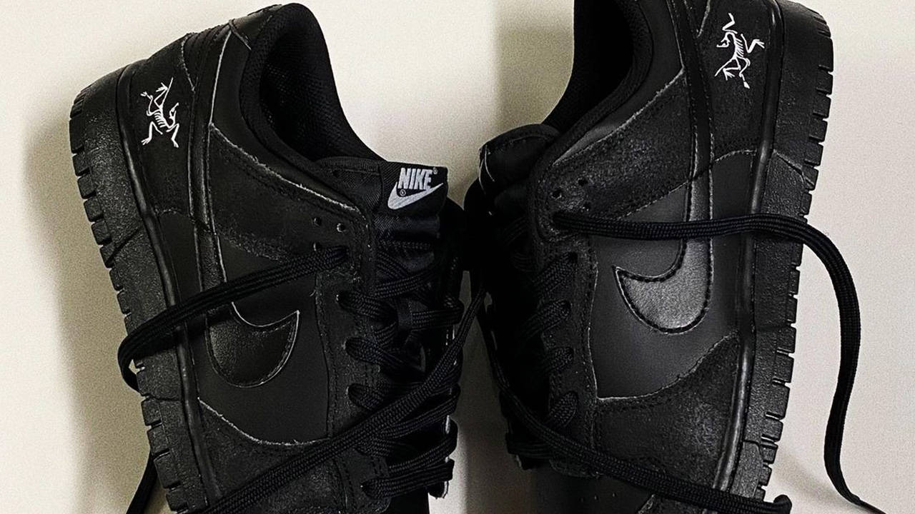 Arc'teryx x Nike Dunk Low