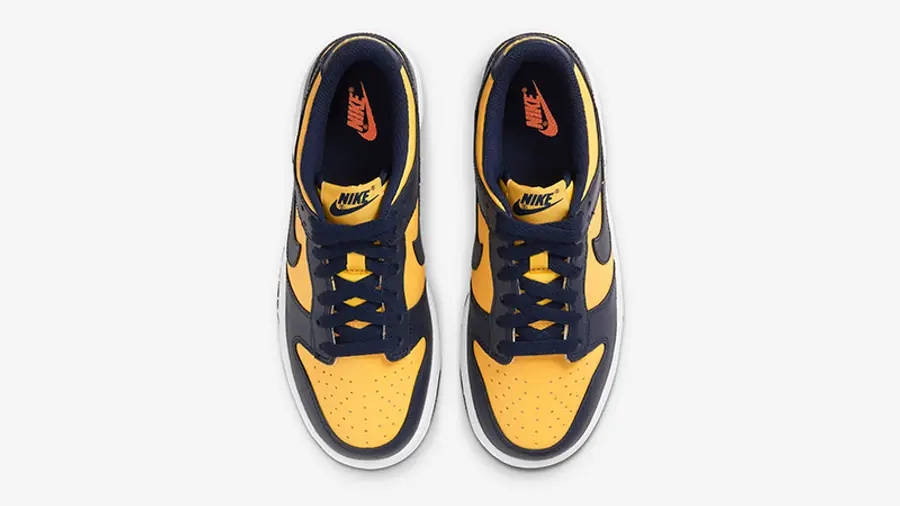 Nike Dunk Low GS Michigan CW1590-700 Top