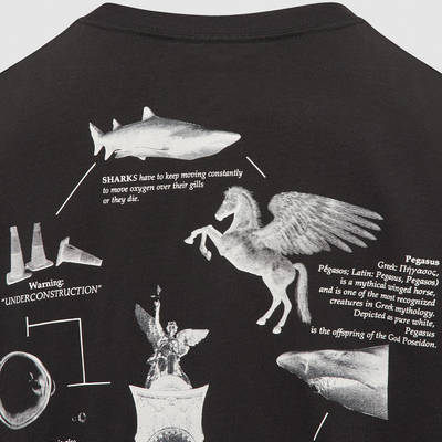Nike NRG Pegasus T-Shirt DM2352-010 Detail 2