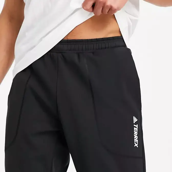 Adidas best sale terrex joggers