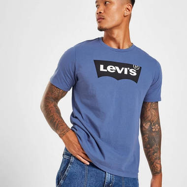 Levi's Batwing T-Shirt