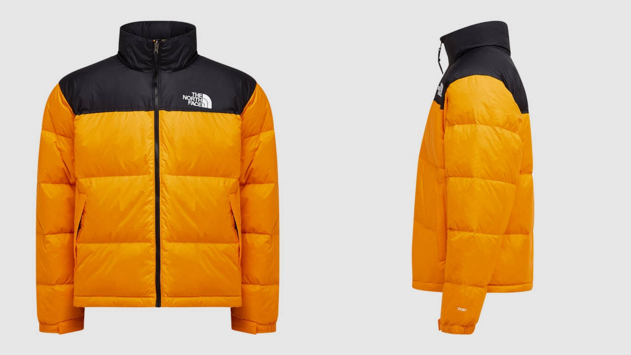 TNF