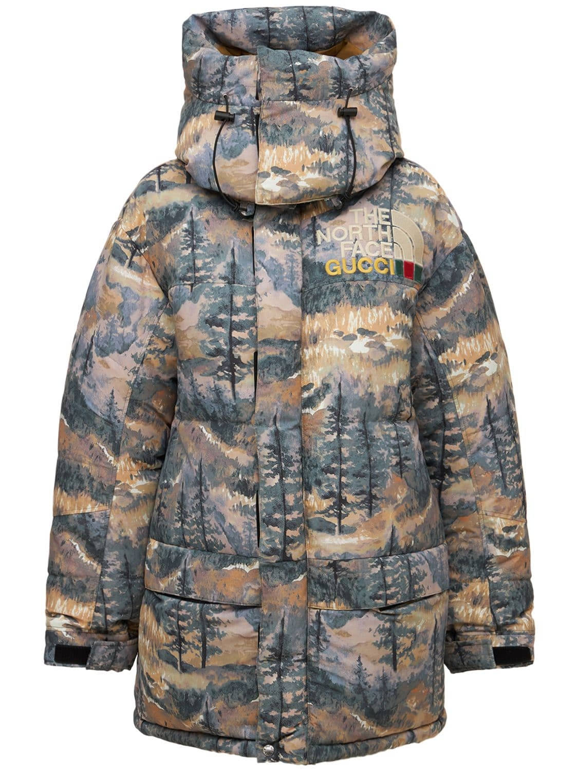 Gucci x The North Face Down Coat
