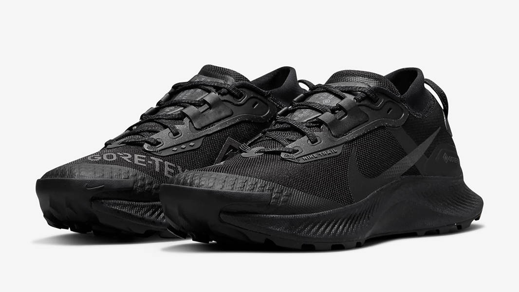 Nike Pegasus Trail 3 GORE-TEX Black DC8794-001 Side