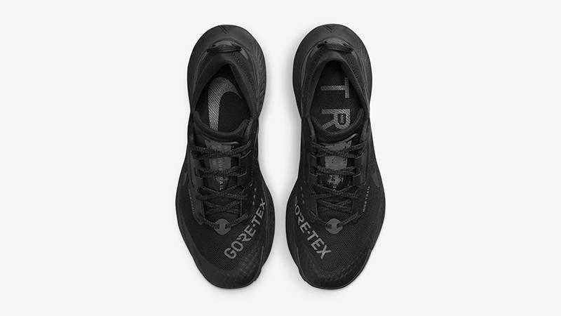 Nike Pegasus Trail 3 GORE-TEX Black DC8794-001 Top
