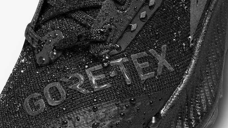 Nike Pegasus Trail 3 GORE-TEX Black DC8794-001 waterproof