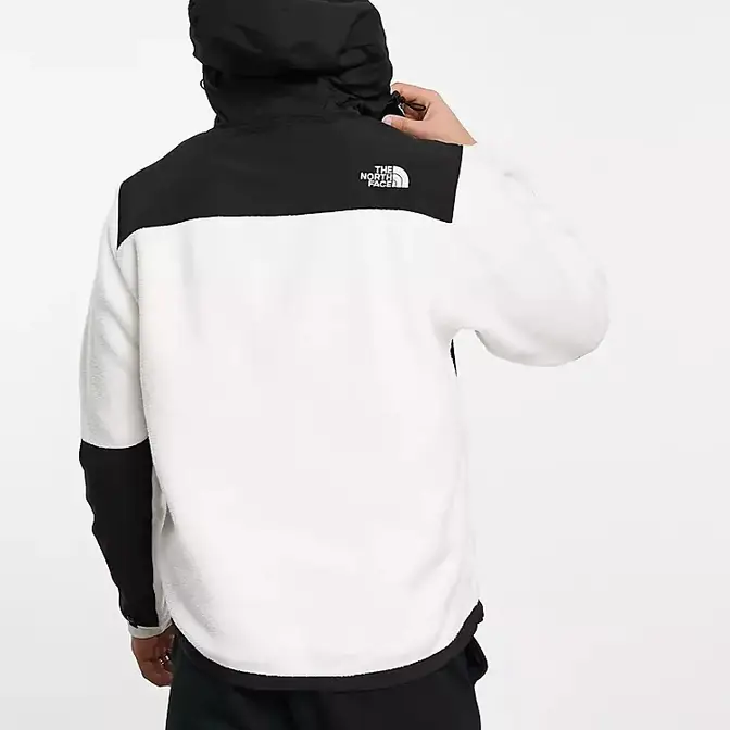 North face denali 2 on sale hoodie