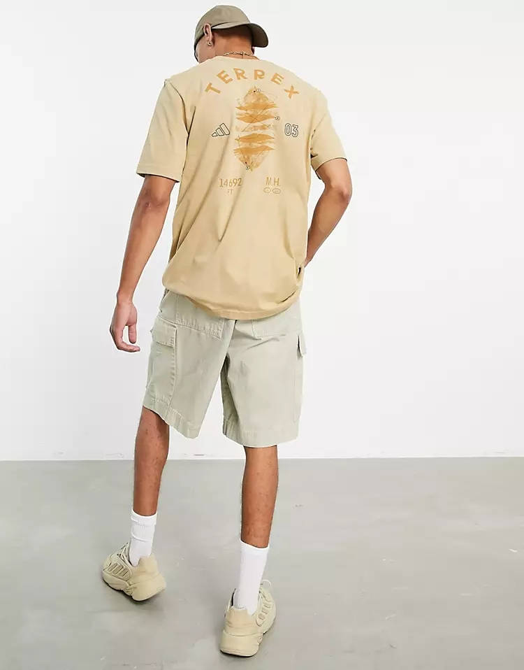 adidas Outdoors Terrex Terrain Graphic T-Shirt Beige Back