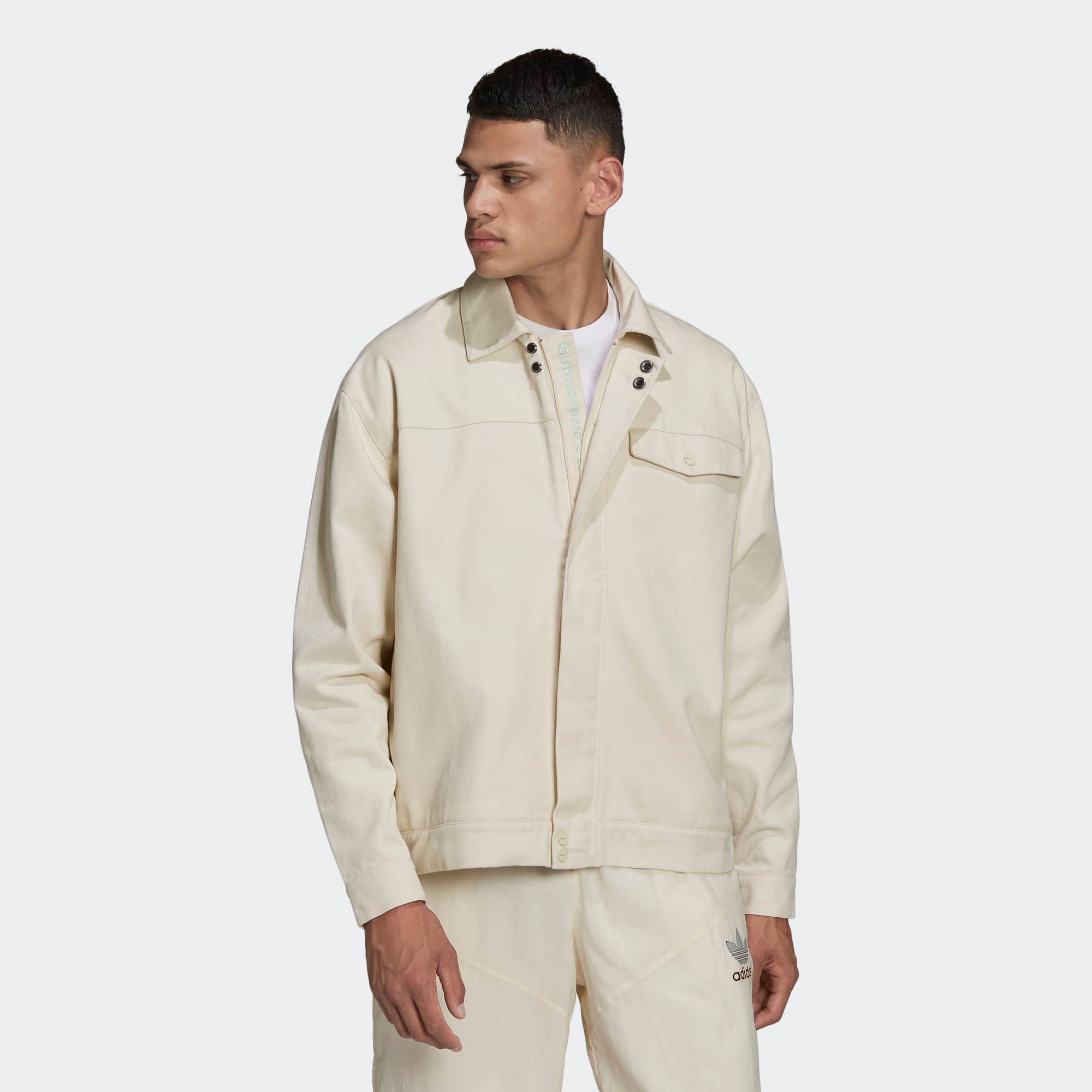 Adidas v day jacket online