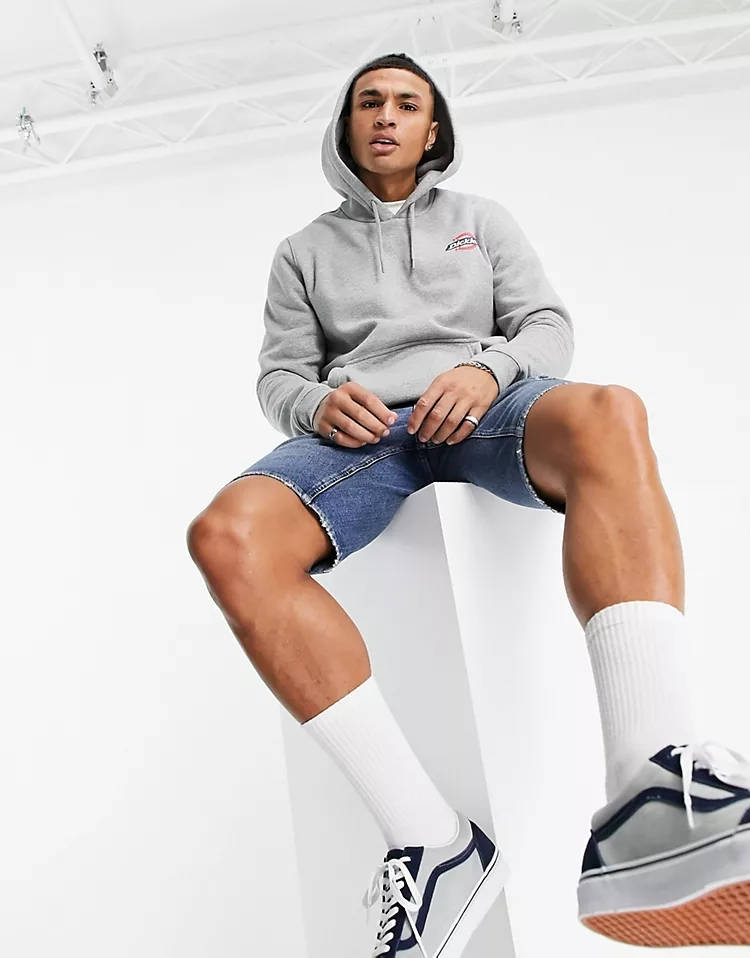 Dickies Ruston Hoodie Grey Full