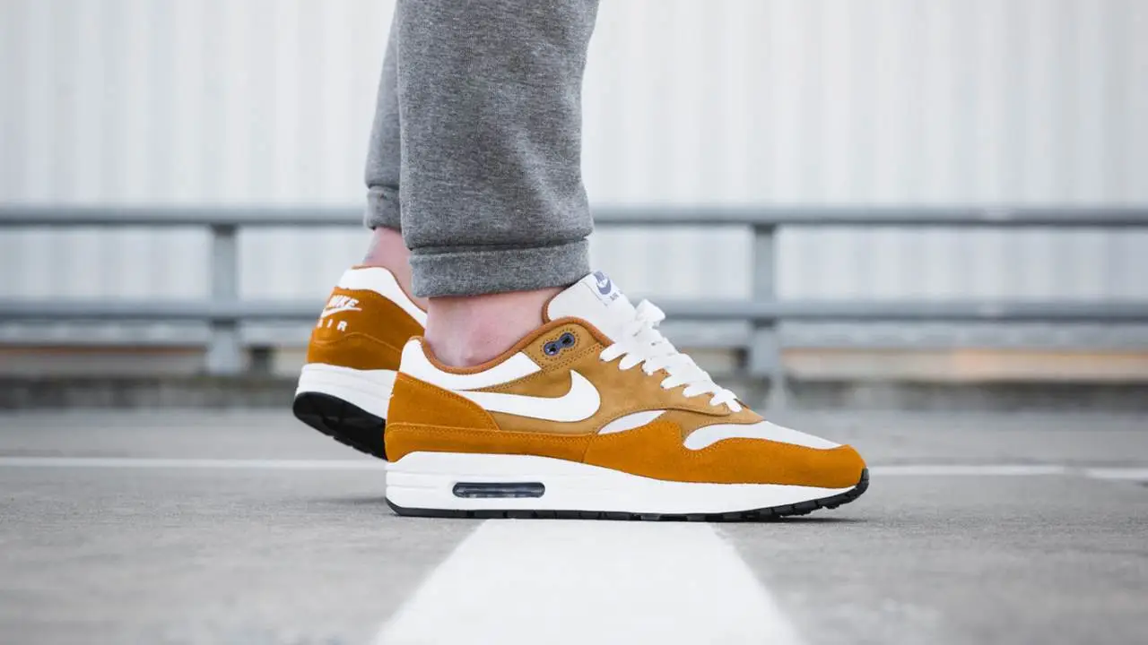 The Best Nike Air Max 1 (AM1) Colorways of All Time | The Sole Supplier