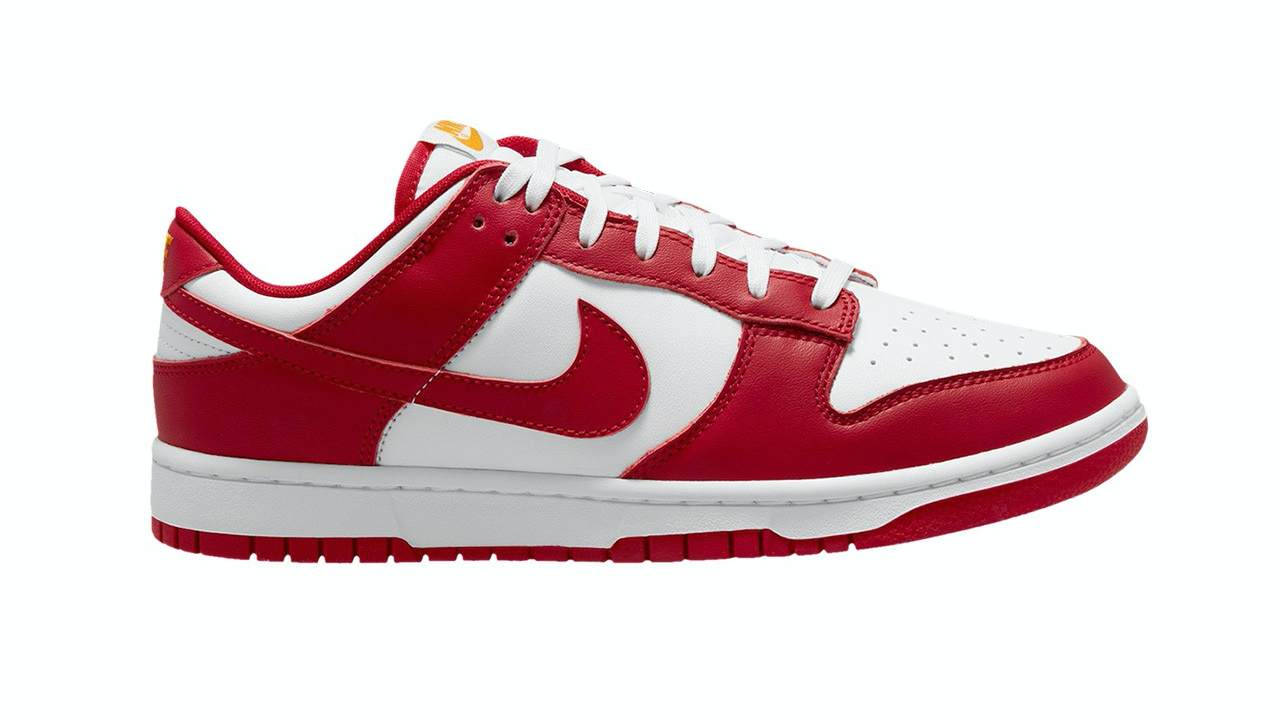 nike dunk low college 1