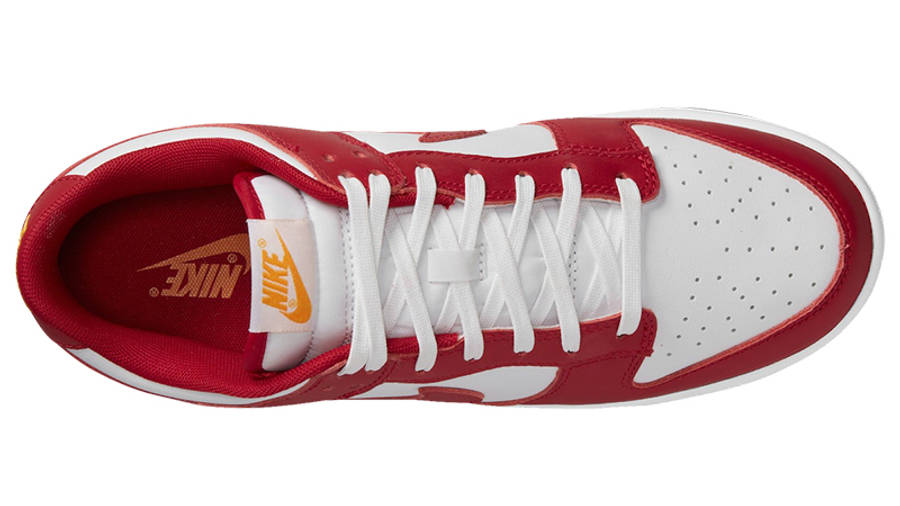 dunk tennis shoes