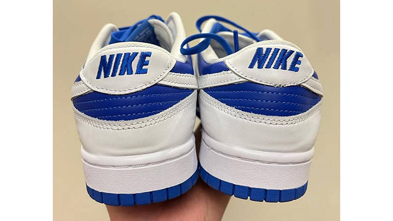 Nike Dunk Low White Blue Back